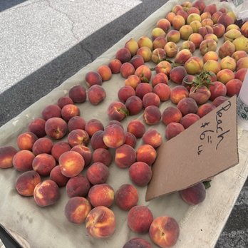 Pasadena Farmers Market - Ha's Farm - Farmers Market Near Me - Pasadena, California Pasadena Farmers Market - Ha's Farm - Farmers Market Near Me - Pasadena, California