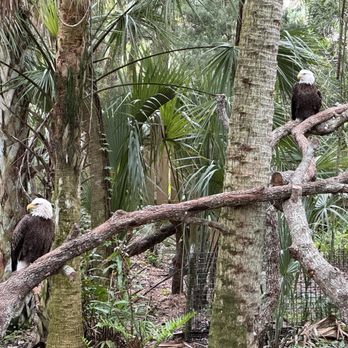 Brevard Zoo - Zoos Near Me - Melbourne, Florida Brevard Zoo - Zoos Near Me - Melbourne, Florida