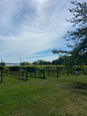 Parley Lake Winery by null