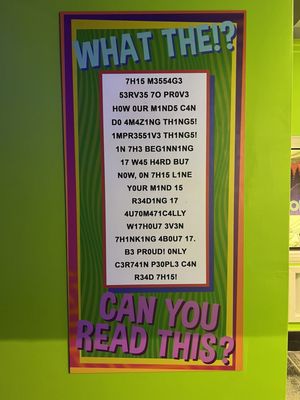 Ripley’s Illusion Lab by null