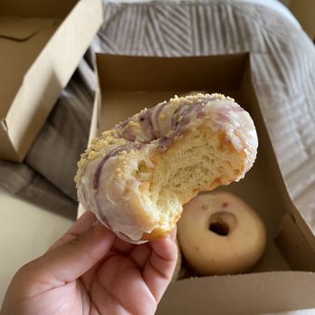 Jellyfish Donuts - Blueberry cheesecake donut! - Donuts Near Me - Ketchikan, Alaska Jellyfish Donuts - Blueberry cheesecake donut! - Donuts Near Me - Ketchikan, Alaska
