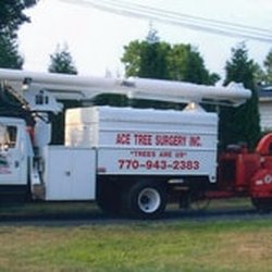 Ace Tree Surgery