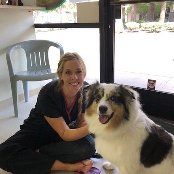 LaunderMutt - Pet Groomers Near Me - Concord, California LaunderMutt - Pet Groomers Near Me - Concord, California