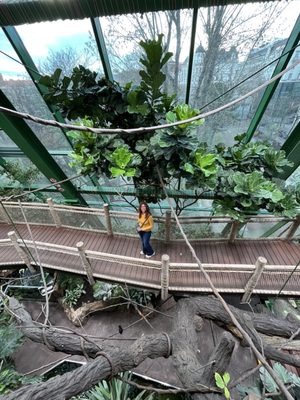 Haus des Meeres (House of the Sea) by null