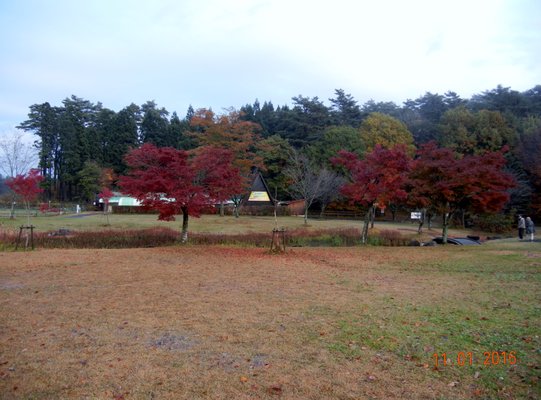 Koiwai Farm by null
