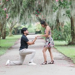 Leanor Taylor Photography - Hampton Park. Romantic setting for a proposal among the Spanish moss draping their branches on each side.