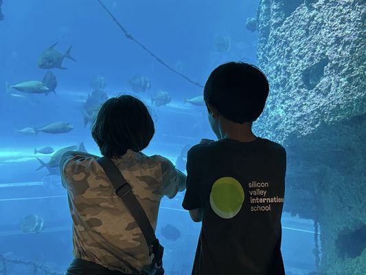 National Museum of Marine Biology & Aquarium by null