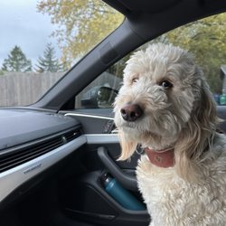 Personal Touch Pet Grooming