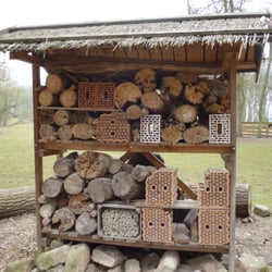 Wildpark Ludwigshafen-Rheingönheim