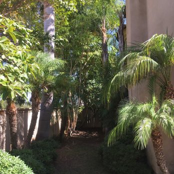 Pablo's Landscape Services - Putting green before - Tree Services Near Me - San Marcos, California Pablo's Landscape Services - Putting green before - Tree Services Near Me - San Marcos, California