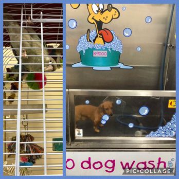 monster pets supplies