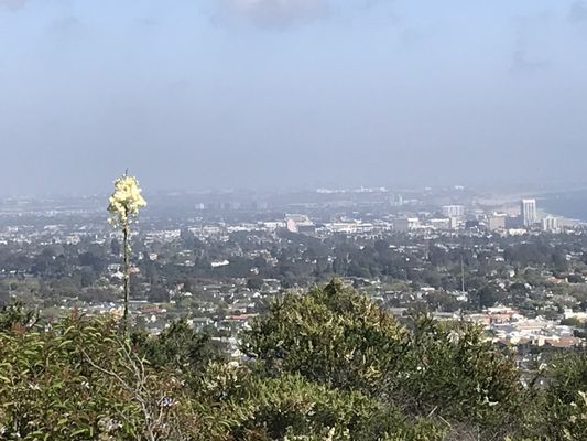 Temescal Gateway Park, Mountains Recreation & Conservation Authority by null