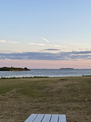 Dolphin Marina & Restaurant by null