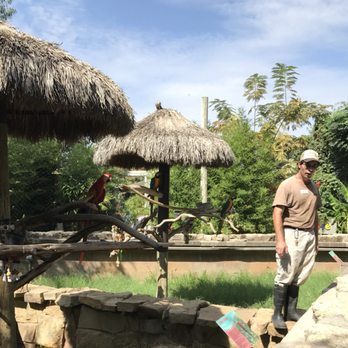 Abilene Zoo - Zoos Near Me - Abilene, Texas Abilene Zoo - Zoos Near Me - Abilene, Texas
