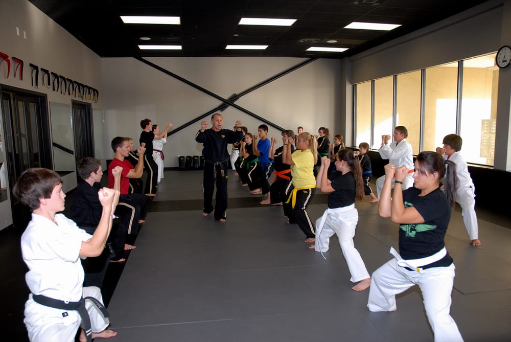 Premier Martial Arts League City Logo