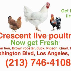 Crescent Live Poultry Corporation