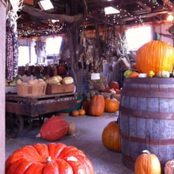 Pumpkins Etc. - Inside the barn