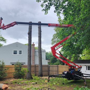 Off The Top Tree Service - Back yard lift. - Tree Services Near Me - Lindenhurst, New York