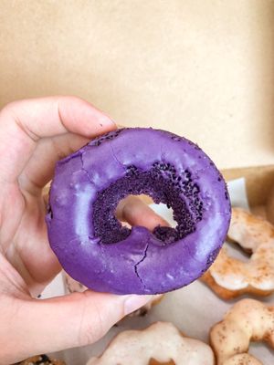 HeyDay Doughnuts by null