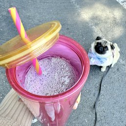 Blueberry Sage Matcha Cream (Oat Milk, Personal Cup)