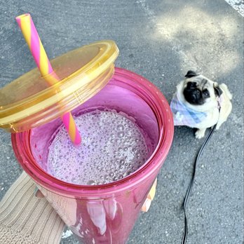 Equator Coffees - Blueberry Sage Matcha Cream (Oat Milk, Personal Cup) - Coffee & Tea Near Me - Larkspur, California