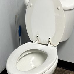 Anytime Fitness - The floor in the gym, especially on the purple outdoor carpet, looks like this toilet seat in their bathroom.