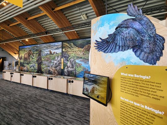 Yukon Beringia Interpretive Centre by null