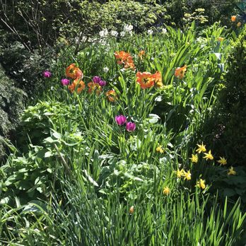Central Park Environs Walking Tour - Shakespeare's Garden | Central Park - Walking Tours Near Me - New York, New York Central Park Environs Walking Tour - Shakespeare's Garden | Central Park - Walking Tours Near Me - New York, New York
