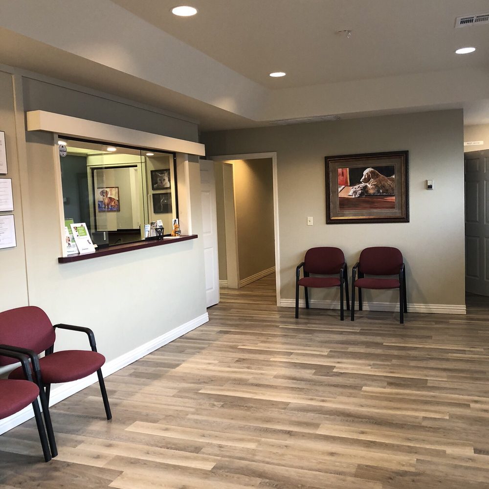 ALL CREATURES VETERINARY CLINIC - As enter into the clean waiting room. - Veterinarians Near Me - Siloam Springs, Arkansas ALL CREATURES VETERINARY CLINIC - As enter into the clean waiting room. - Veterinarians Near Me - Siloam Springs, Arkansas