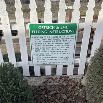 Ostrichland USA - Rules - Attraction Farms Near Me - Solvang, California