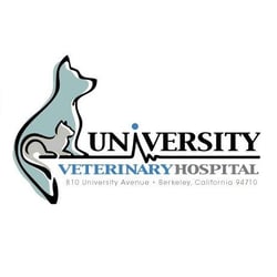 cheap and good vets near me