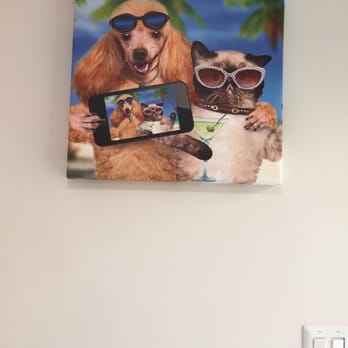 Aardvark Animal Clinic - So cute! - Veterinarians Near Me - Hialeah, Florida Aardvark Animal Clinic - So cute! - Veterinarians Near Me - Hialeah, Florida