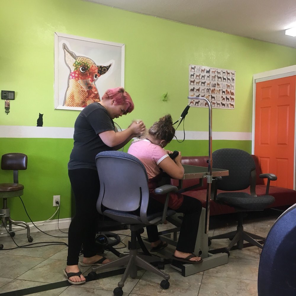 We Groom Pets - Pet Groomers Near Me - Downey, California We Groom Pets - Pet Groomers Near Me - Downey, California