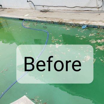 Smitty's Pool Care - A green algae monster in our pool! Quick response and reasonable rates plus personable service is what you get with Smitty's Pool Service. - Pool Cleaners Near Me - Chino Hills, California