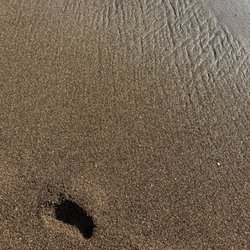 Shell Beach Park At Beachcomber