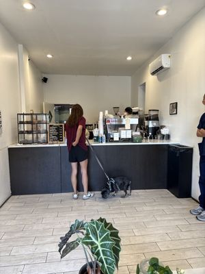 Before Coffee by null