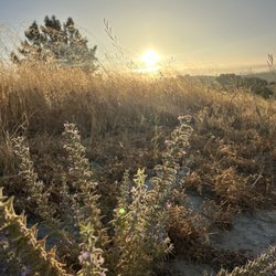 Lime Ridge Open Space - Concord - Sunrise 00.21.2024