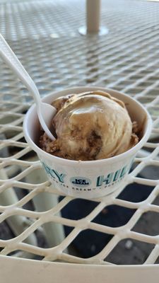 Dairy Hill Ice Cream by null