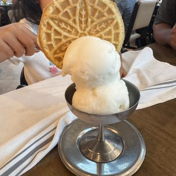 OLIVIA - Lemon sorbet - Italian Near Me - Tampa, Florida OLIVIA - Lemon sorbet - Italian Near Me - Tampa, Florida
