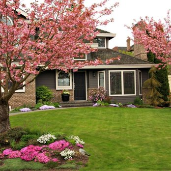 Cal State Tree Service - Tree Services Near Me - Bakersfield, California Cal State Tree Service - Tree Services Near Me - Bakersfield, California