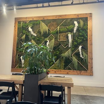 Winter Swan Coffee - Coffee & Tea Near Me - Rochester, New York Winter Swan Coffee - Coffee & Tea Near Me - Rochester, New York