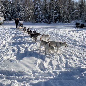 Paws For Adventure - Tours Near Me Paws For Adventure - Tours Near Me