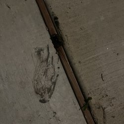 Enviroguard Pest Control