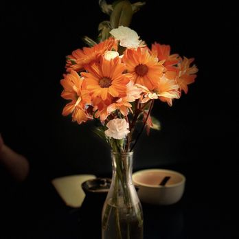 Omi Sushi - Beautiful flowers - Sushi Bars Near Me - East Lansing, Michigan Omi Sushi - Beautiful flowers - Sushi Bars Near Me - East Lansing, Michigan
