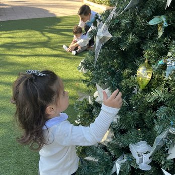 Florida Botanical Gardens - We love the Christmas tree in the wedding garden - Botanical Gardens Near Me - Largo, Florida