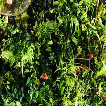 Gran Morsi - The living wall in the dining area - Italian Near Me - New York, New York Gran Morsi - The living wall in the dining area - Italian Near Me - New York, New York