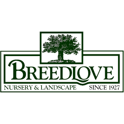 Breedlove Nursery & Landscape