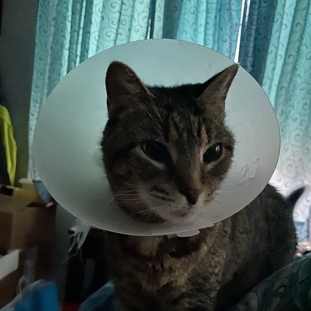 Luna