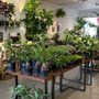 Photo of Plant Society
