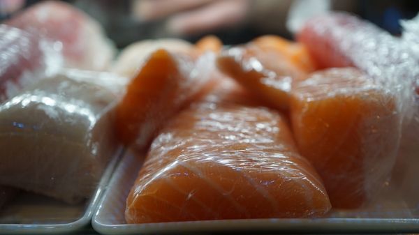 Umi Sushi by null